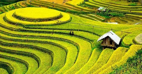 Tiền đạo Brazil lập công, áp sát vị trí số 1 của Tiến Linh_Xu hướng tiếp thị kỹ thuật số 2025